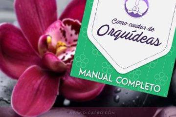 manual como cuidar de orquideas