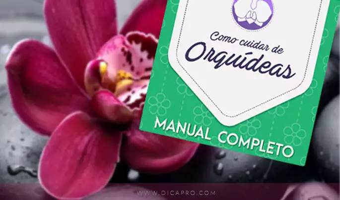 manual como cuidar de orquideas