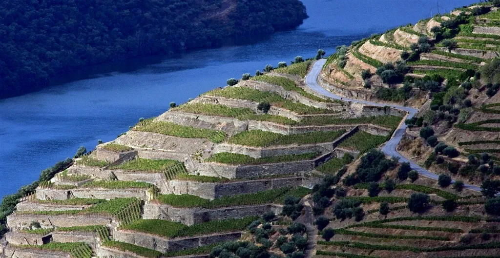 Rio Douro Em Portugal
